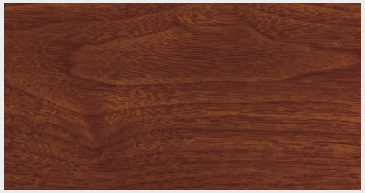 AE4475-V.1 (MARRONE 1 / BROWN 1)