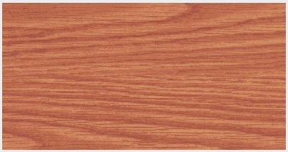 AE4516-V.1 (BEIGE 1 / BEIGE 1)