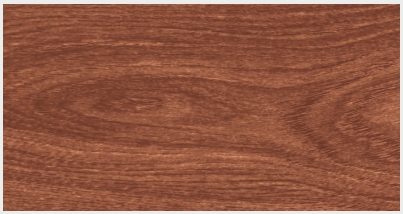 AE4532-V.2 (BEIGE 1 / BEIGE 1)