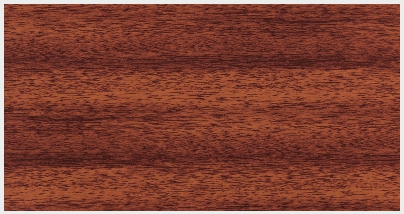 AE4586-V.1 (MARRONE 1 / BROWN 1)