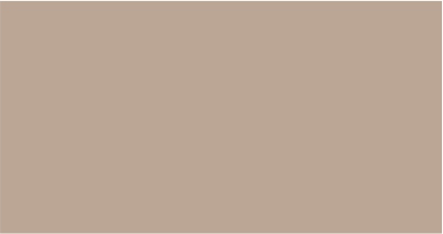 BISCUIT HG-8103