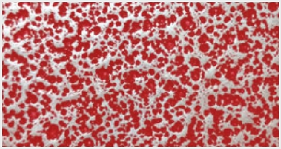 NATIQUE RED SILVER HA-0505